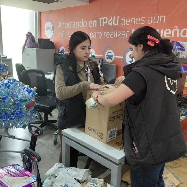 Asset 186tp4u voluntariado